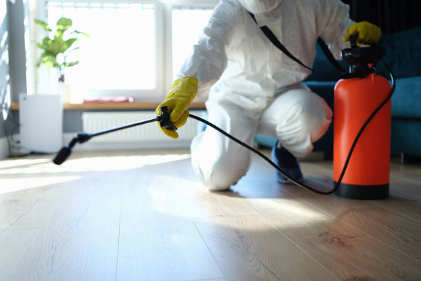 Reliable Odor Removal contractor in La Grange, TX by Trauma Clean Pros